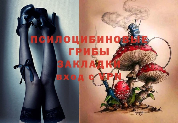 твердый Белокуриха